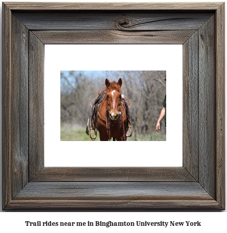 trail rides near me in Binghamton University, New York